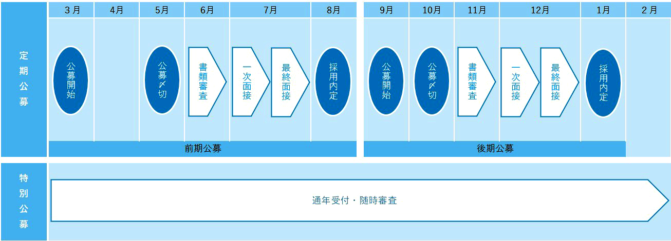 年間採用スケジュール