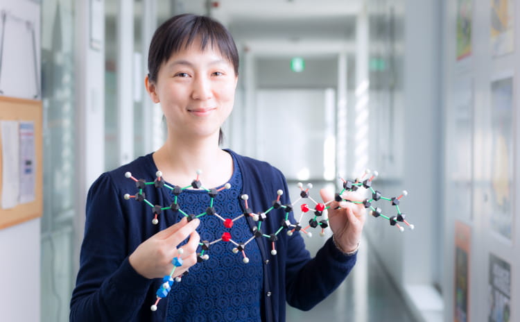 Image of female researchers