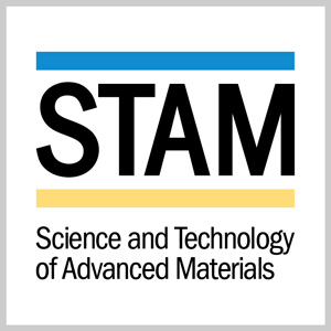 Logo of STAM journal