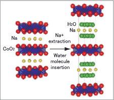 "Figure: Crystallographic structure of precursor (Na0.7CoO2 (left) and newly-discovered Na0.35CoO2·E1.3H2O with superconductivity." Image