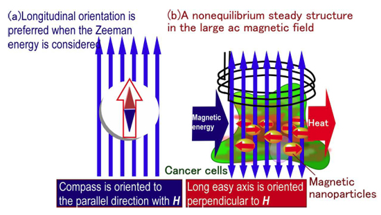 "Figure: An oriented structure of magnetic nanoparticles in hyperthermia treatment of cancer, compared to the well known case of an ordinary magnets. The schematic illustrations show (a) the needle of a magnetic compass oriented in the direction of the Earth’s magnetic field, and (b) ferromagnetic nanoparticles under irradiation with a high frequency magnetic field of weaker intensity than the anisotropic magnetic field, in which the nanoparticles align in planes perpendicular to the magnetic field." Image
