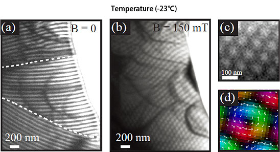"Fig. :Magnetic structure observed by Lorentz transmission electron microscopy.(a) Helical stripe structure in the zero magnetic field. Dotted lines show the crystal grain boundary.(b) Skymrion crystal formed by applying a 150mT magnetic field perpendicular to the device.(c) Enlarged diagram of the skyrmion crystal.(d) Distribution of magnetization in a single skyrmion. Colors and arrows show the direction of electron spin in the skyrmion." Image