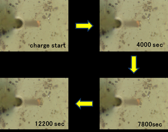 "Figure : Expansion of a silicon particle accompanying charging. Under an electric current of 3nA, a silicon particle expansion process was observed. As a copper plating was applied to the tip of the probe, the tip displays a copper-brown color. The black silicon particle (with partial metallic gloss), which is in contact with the probe, undergoes swelling accompanying charging (in red circle)." Image