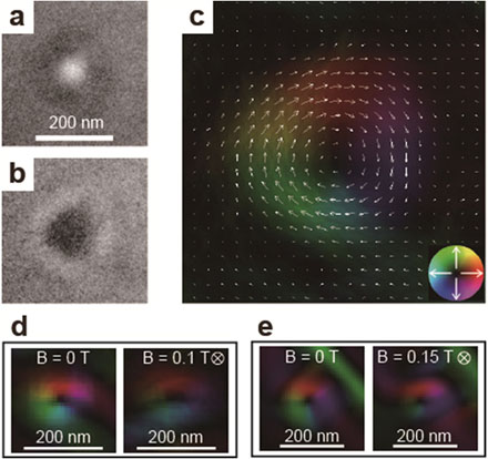 "Fig. High-magnification images of nanomagnetic clusters. (a) and (b) are images in which the focus has been shifted from the exact focus to, respectively, the minus side and plus side. (c) is a map of the in-plane magnetization distribution as determined from (a) and (b). The distribution and density of colors represent the direction and strength, respectively, of the in-plane magnetization (see insert figure on lower right). The direction and size of arrows also represent the in-plane magnetization’s direction and strength, respectively. (d) and (e) show the responses of different magnetic clusters to an external magnetic field (B). The direction of the external magnetic field is from the front of the page to the back. The straight green line at the upper right of (e) is a false image made by the edge of the sample." Image