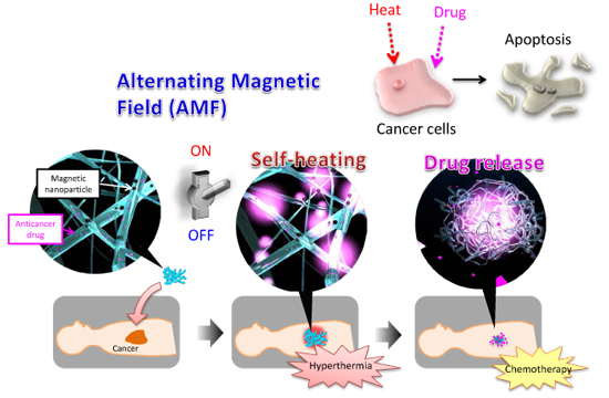 "Figure: Cancer treatment using the nanofiber mesh with self-heating/anticancer drug release functions." Image