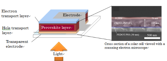 "Figure: Schematic diagram of a perovskite solar cell and its cross section viewed with a scanning electron microscope. Light passes through a transparent electrode and is absorbed by the perovskite layer, generating positive (holes) and negative (electrons) charges by means of photoexcitation. Electrons in the perovskite layer move to the PCBM electron transport layer. Holes travel through the hole transport layer and are extracted from the transparent electrode, generating electric power." Image