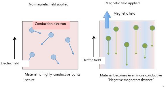 "Figure: Models depicting negative magnetoresistivity discovered in this study. Under the condition in which a magnetic field is absent, as shown in the left diagram, conduction electrons can move not only in the opposite direction to that of an electric field but also in other directions. However, when a magnetic field is applied, as shown in the right diagram, the orbitals of electrons are rearranged, making electrons move more readily in the opposite direction to that of the electric field. This latter case can be observed only in materials of very high purity. In this study for palladium cobalt oxide, a magnetic field was applied in a direction perpendicular to the conduction plane of palladium." Image