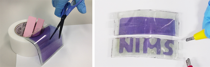 "Figure: Display sheet being cut with scissors (left). The sheet’s display function is intact even after being cut into smaller pieces (right)." Image