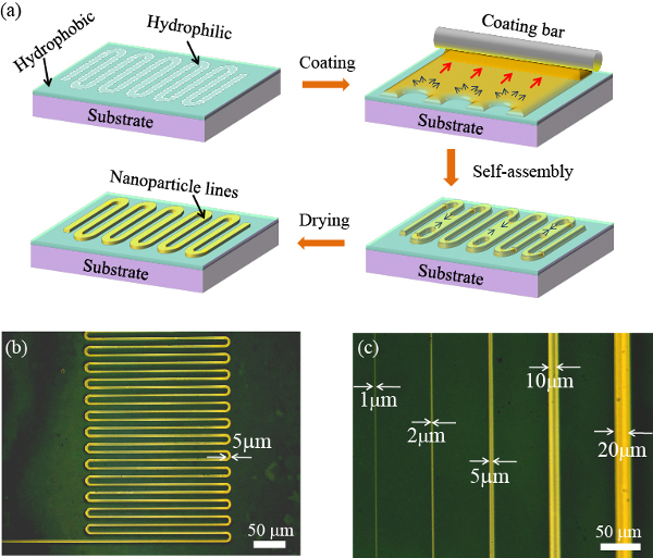 "Figure: Formation of microcircuit lines using a selective coating technique. (a) Schematic of selective coating technique. Only a hydrophilic region created through irradiation of parallel vacuum ultraviolet (PVUV) is coated with metal ink. (b) Electronic circuit with a line width of 5 μm formed through selective coating. (c) Electrode lines with different widths. Lines as narrow as 1 μm can be formed." Image