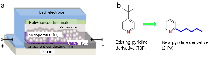 "Figure.  a) Schematic of a perovskite solar cell in a normal structure. b) Molecular structures of an existing pyridine derivative (left) and a new pyridine derivative with an alkyl group (blue) attached (right)." Image