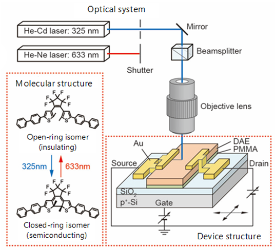 "Figure. Schematics of molecular structure, device structure and light irradiation system. The molecule has a diarylethene backbone with a biphenyl group attached to both sides of the backbone. When the molecule is in the open-ring form, it behaves like an insulator, and when it is in the closed-ring form, it acts like a semiconductor. We first fabricated a thin film of open-ring isomers (insulator) on a SiO2/S substrate and attached source/drain electrodes on both sides of the thin film. The Si substrate serves as a gate electrode and the SiO2 layer functions as a gate insulator layer. If a part of the thin layer is scanned with ultraviolet light (wavelength of 325 nm), open-ring isomers there transform into closed-ring isomers (semiconductor), thereby converting that part into a transistor channel through which electric current runs. The channel can be erased by irradiating it with visible light (wavelength of 633 nm)." Image