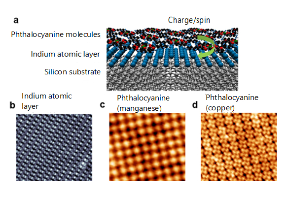 "Figure. (a) Schematic diagram of a heterostructure comprising organic molecules and a superconducting atomic layer. (b)-(d) Scanning tunneling microscope images of samples. (b) Indium atomic layer (superconducting layer). (c) Phthalocyanine molecular layer grown on the indium atomic layer (manganese atom at the center of each molecule). (d) Phthalocyanine molecular layer grown on the indium atomic layer (copper atom at the center of each molecule)." Image