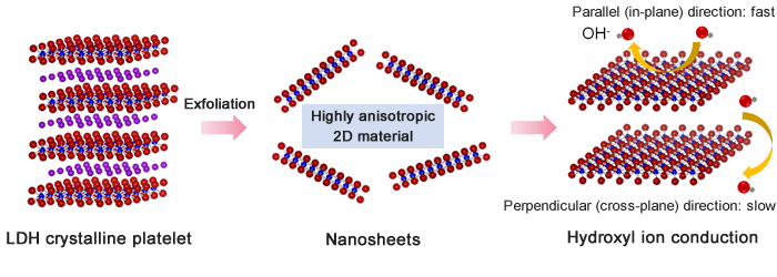 "Figure: A layered double hydroxide (LDH) crystalline platelet was exfoliated into single-layer nanosheets—the minimum basic units—which are highly anisotropic in terms of ionic conductivity." Image