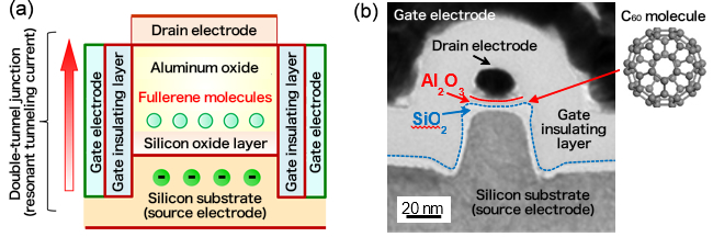 "Figure: (a) Schematic of a vertical resonant tunneling transistor within which molecules are embedded. (b) Scanning tunneling electron microscopic image of the cross-section of a fabricated transistor sample. The molecules are individually embedded between an aluminum oxide (Al2O3) layer formed directly under the drain electrode and a silicon oxide (SiO2) layer." Image