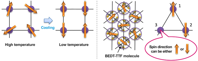 "Figure. (Left) Electron spins in a material. Purple circles and orange arrows represent atoms and the spins of their electrons, respectively.  At high temperatures, the electron spins undergo thermal fluctuations and orient in various directions (spin liquid state). When the material is cooled, the thermal fluctuations of the electron spins are suppressed and the spins are ordered (spin solid state). The diagram assumes an antiferromagnetic interaction between the spins.(Right) Schematic crystal structure of the organic material κ-(BEDT-TTF)2Cu2(CN)3 in a quantum spin liquid state. Pairs of flat BEDT-TTF organic molecules (dimers)—each encircled in purple in the diagram—possess a spin. On a triangular lattice, when the orientation of two spins is fixed, the third spin orientation is unpredictable. This phenomenon, known as geometrical frustration, has been thought to be the main reason of the extraordinary spin liquid state in which spins move around even at extremely low temperatures." Image
