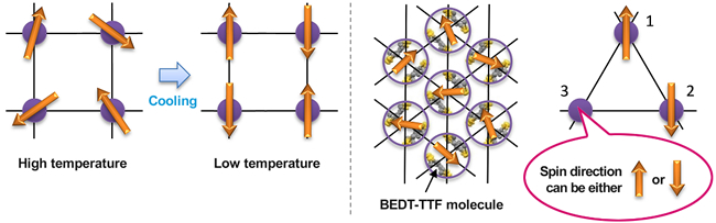 Discovery of Decoupling Phenomena in a Quantum Spin Liquid