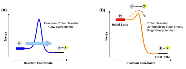 "Figure: proton tunneling through the barrier (quantum). (B) proton transfer via the transition state (classical);  In the electrochemical system the relative contribution of the two mechanisms can be tuned by the applied potential." Image