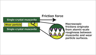 "Identifying the Origin of Macroscopic Friction between Clay Mineral Surfaces" Image