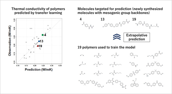 "figure: Thermophysical properties (i.e., thermal conductivity) of polymers predicted by transfer learning. The joint research group succeeded in constructing a machine learning model capable of the extrapolative prediction of three new polymers that resided in far tails of the training data distribution." Image