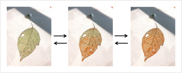 "Figure 1. A leaf-shape EC device capable of changing color gradually like a fall leaf when electric current passes through it." Image