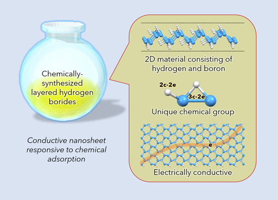 "figure: Chemical synthesis of hydrogen boride nanosheets. This molecular-level-thick sheet material has unique hydrogen arrangements and is electrically conductive. Its electrical conductivity is sensitive to the influence of molecular adsorption on its surfaces." Image