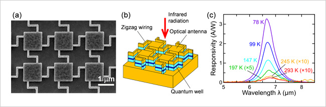 "Figure. (a) Scanning electron micrograph of the newly developed infrared detector. (b) Schematic structural diagram. The semiconductor layer containing the quantum wells is sandwiched between the top and bottom gold layers. (c) Detection sensitivity spectra at various temperatures." Image