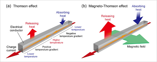 "Figure 1. Schematic illustration of the Thomson effect and the magneto-Thomson effect" Image