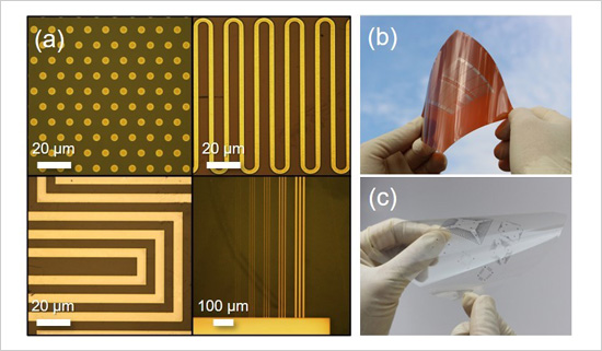 "Figure. (a) Microcircuit patterns printed using a dual surface architectonic process. Circuits printed on polyimide (b) and transparent (c) films." Image