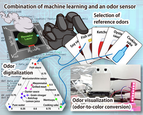 "Figure. Quasi-primary odor determination using a combination of machine learning and an odor sensor. If quasi-primary odors are selected by the proposed method, all odors are digitalized in terms of the quasi-primary odor mixture ratios. In addition, quantified odors can be visualized using colors." Image
