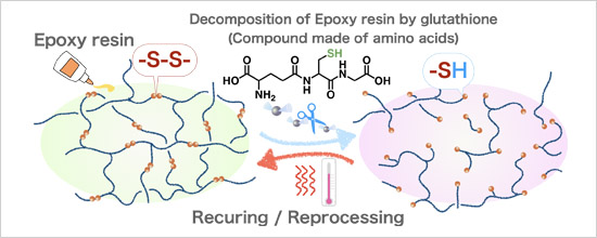"Figure 1: Recycling system of epoxy resin with peptide solution" Image
