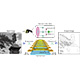 Ionic artificial vision device, in which lithium ions migrate and interact, mimics the way in which human retinal neurons process visual signals.