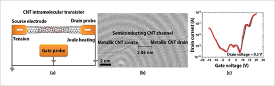 "Figure. (a) Schematic diagram and (b) a transmission electron microscopy image of a CNT intramolecular transistor. (c) Current–voltage characteristics of the transistor." Image