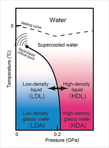"Figure. Polyamorphic phase diagram of liquid water" Image