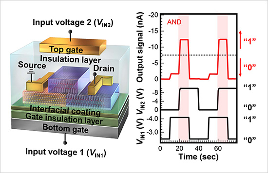 "Figure. Organic dual-gate anti-ambipolar transistor designed to perform an AND logic gate operation." Image