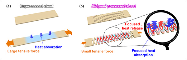 "Figure. (a) Temperature modulation generated by the elastocaloric effect. (b) A new proposition of elastocaloric temperature modulation device inspired by kirigami." Image