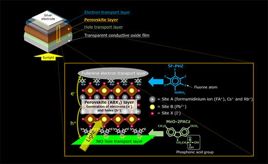 "Figure. Schematics of the perovskite solar cell (left), its structure (middle) and the molecules integrated into its interfaces (right)" Image