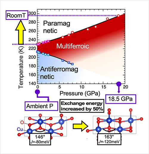 "When a cupric oxide compound is subjected to high pressure, its Cu–O–Cu bond angle widens, strengthening the magnetic interaction between the ions. Using this phenomenon, this research team experimentally confirmed that the compound is able to exhibit its multiferroic state at room temperature." Image