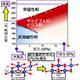 Phase diagram of CuO