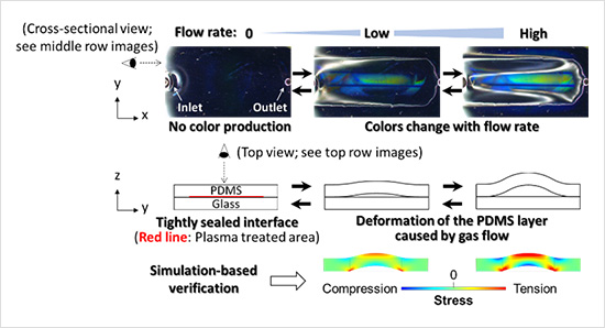 "Figure.Mechanism behind the multi-color imaging of a gas injected into the device. Top (top row) and cross-sectional (middle and bottom rows) views of the device and a gas flowing through it." Image