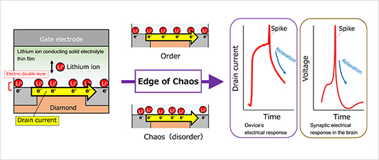 "Figure. Schematics of the AI device developed in this research (left and middle). It can process information in a manner similar to the human brain (right)." Image