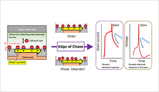 Figure. Schematics of the AI device developed in this research (left and middle). It can process information in a manner similar to the human brain (right).