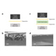 Chemical Crossover Accelerates Degradation of Lithium Electrode Rechargeable Lithium–Oxygen Batteries