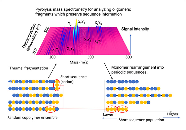 "Figure. Short sequence quantification via monomer rearrangement into periodic sequences repeating a single codon species." Image