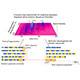 Figure. Short sequence quantification via monomer rearrangement into periodic sequences repeating a single codon species.