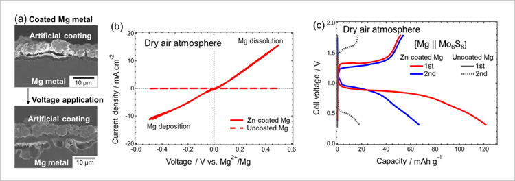 "Figure. (a) Electron microscope cross-sectional images of an artificially coated magnesium metal electrode. These images demonstrate that the electrode coating does not interfere with the dissolution of the enclosed magnesium metal when a voltage is applied to the electrode. (b) Comparison of current-voltage response between zinc-coated and uncoated magnesium metal electrodes in dry air atmospheres. (c) Comparison of the charge-discharge profiles of rechargeable magnesium batteries equipped with either zinc-coated or uncoated magnesium metal anodes in dry air atmospheres." Image