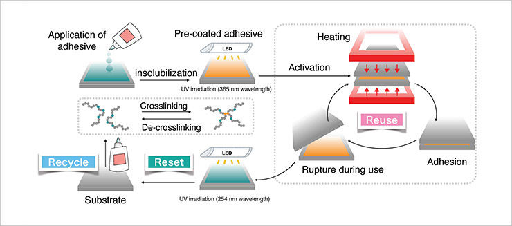 "Figure. Schematic illustration of an adhesive that can be reused many times, even if it breaks during use, and can be reset and reused when its task is completed." Image