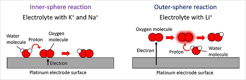 "Figure. Inner- and outer-sphere pathways dependent on electrolyte cations for oxygen reduction reaction: Schematic diagrams illustrating differences in electron and proton transfer mechanisms between inner-sphere and outer-sphere oxygen reduction reactions (red circle: oxygen atom; white circle: hydrogen atom)" Image