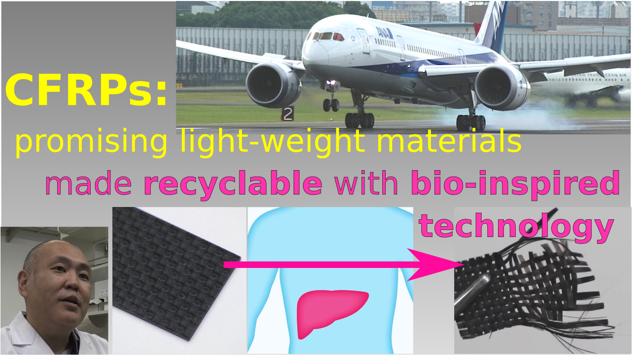 CFRPs: promising light-weight materials made recyclable with bio-inspired technology!