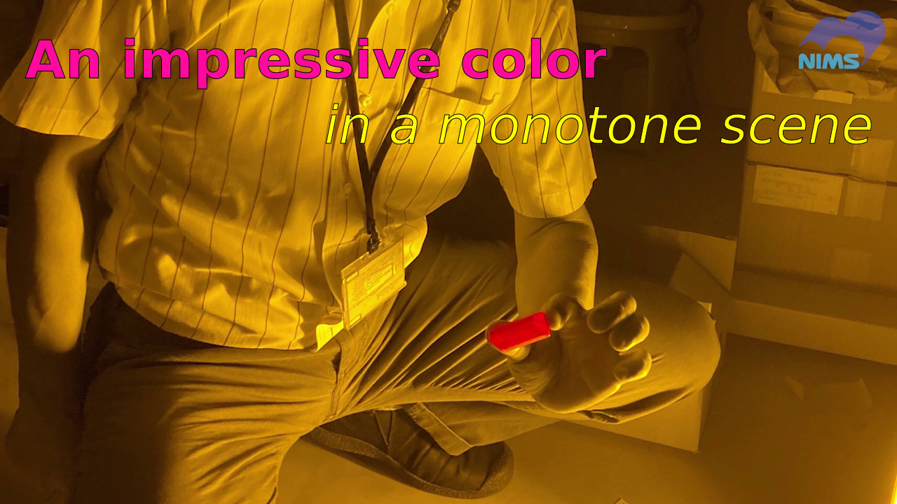 An impressive color in a monotone scene
