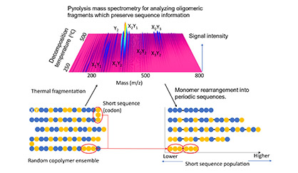Figure. Short sequence quantification via monomer rearrangement into periodic sequences repeating a single codon species.